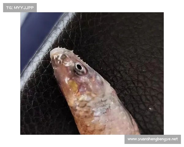 冰虎宝宝的神秘魅力揭秘:探索这一罕见物种的生态特征与生存挑战 冰虎宝宝的神秘魅力揭秘:探索这一罕见物种的生态特征与生存挑战