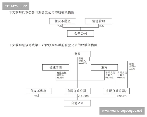 大连鲲城长约建设项目详细准备步骤及实施流程解析