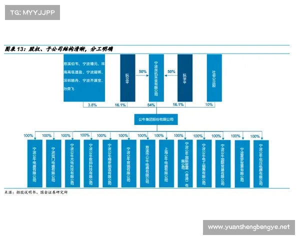 奥利塞血统与职业成就的深层次关系分析与解读
