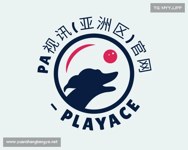 认识PA视讯(亚洲区)官网 - PlayAce